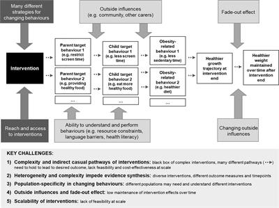 The Complex Quest of Preventing Obesity in Early Childhood: Describing Challenges and Solutions Through Collaboration and Innovation